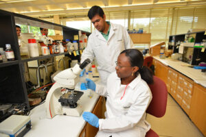 Students in a lab