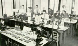 A lab classroom at the College of Pharmacy