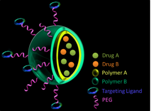 Fig. Design of dual therapeutic agent loaded multifunctional receptor targeted nanocarriers.  