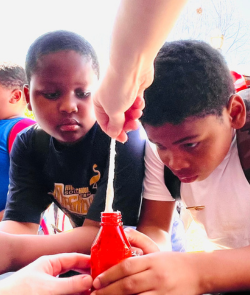 two children working intently on a science experiment