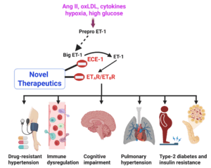 a technical drawing of a pharmaceutical process