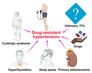 a technical drawing of drug-resistant hypertension