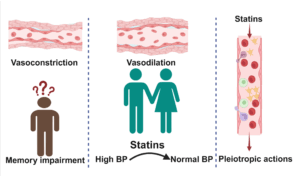A technical drawing of statin use